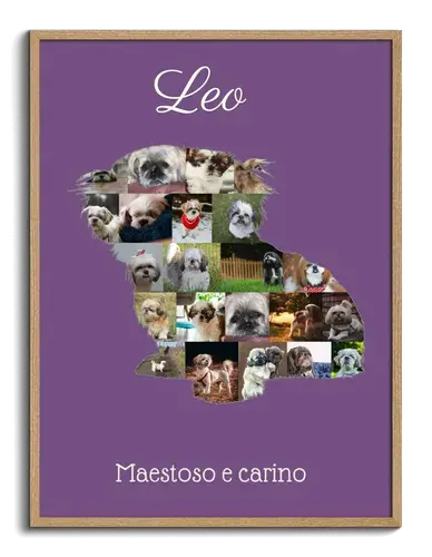 "Crea la tua Collage Shih Tzu: Ricordo Unico del Tuo Amico a Quattro Zampe"