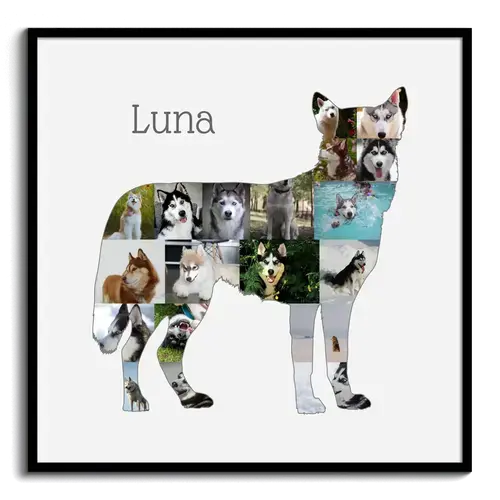 Crea la tua Collage del Siberian Husky con foto personalizzate!