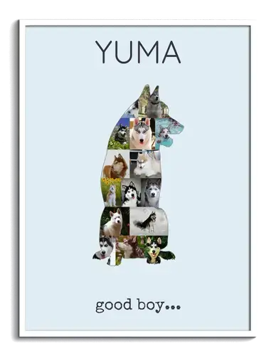 Crea la tua Collage del Siberian Husky con foto personalizzate!
