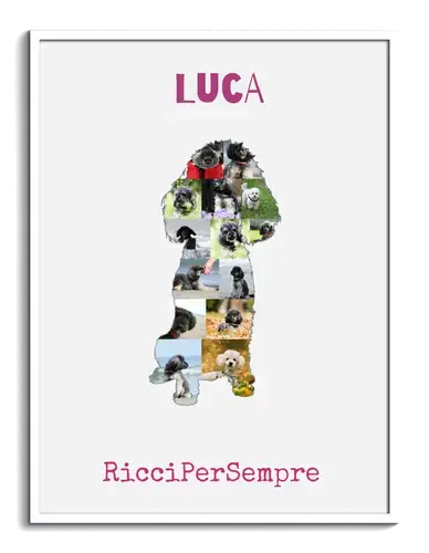 Crea la tua Collage Zwergpudel: Personalizza con foto e testo!