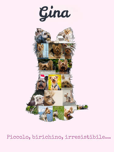 Crea la tua Collage Yorkshire Terrier: Personalizza con Foto e Testo!