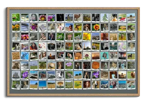 Fotocollage crea cento 100 foto con Polaroid