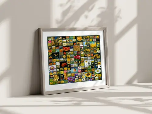 Collage Quadrata con Immagini Multiple Naturali