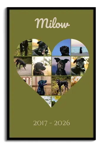 Collage ricordo cane B/N e testo personalizzabile