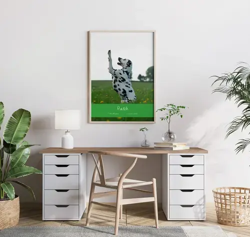 Collage commemorativo cane 1 foto con nome e date