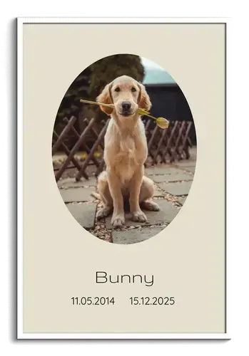 Collage commemorativo cane 1 foto con nome e date