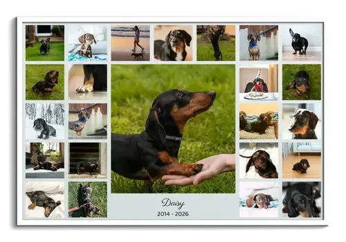 Collage a forma di cane, in ricordo, nome e anni