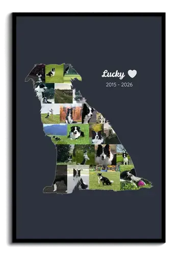 Collage a forma di cane, in ricordo, nome e anni