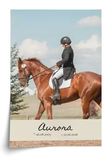 Poster commemorativo cavallo con foto e dati