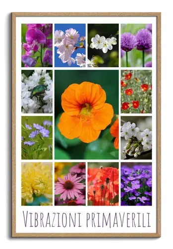 Collage di fiori e piante primaverili