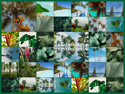 Collage foto natura tropicale – stampa premium: Crea ora palme, foresta pluviale e spiagge