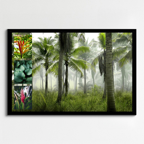 Collage foto natura tropicale – stampa premium: Crea ora palme, foresta pluviale e spiagge