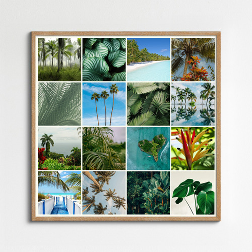 Collage foto natura tropicale – stampa premium: Crea ora palme, foresta pluviale e spiagge