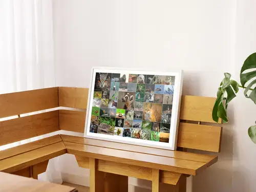 Collage Natura e Fauna: Animali Selvatici e Uccelli