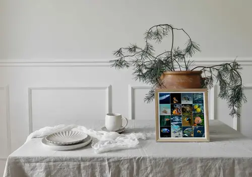 Collage Premium: Fauna Marina e Immersioni