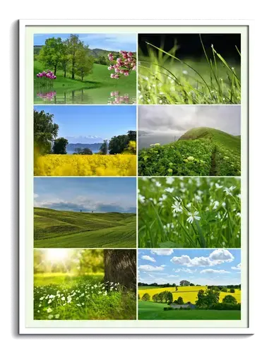 Collage di Stagioni: Natura e Paesaggi