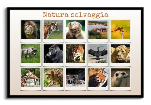 Collage Natur e Animali in Stile Polaroid