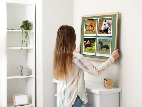 Collage Natur e Animali in Stile Polaroid