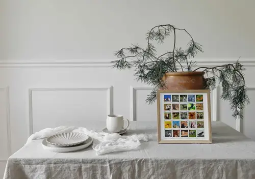 Collage Natur e Animali in Stile Polaroid