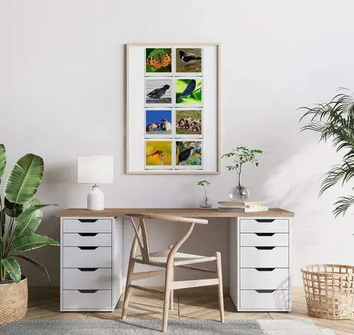 Collage Natur e Animali in Stile Polaroid