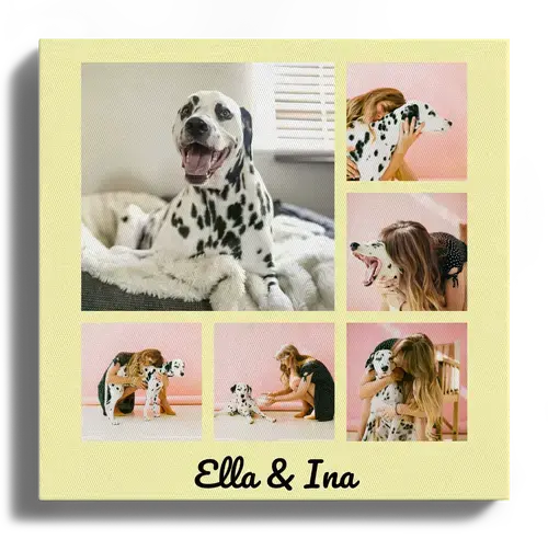 Fotocollage con le migliori foto di cani