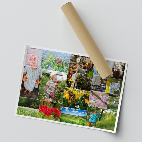 Collage fotografici primaverili con fiori e prati