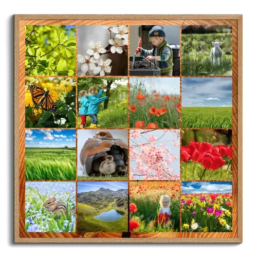 Collage fotografici primaverili con fiori e prati