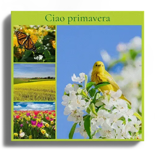 Collage fotografici primaverili con fiori e prati