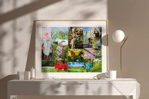 Collage fotografici primaverili con fiori e prati