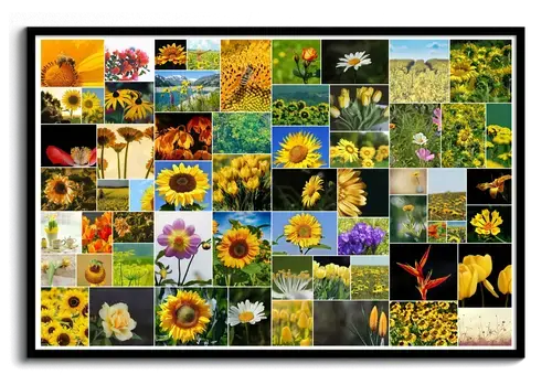 Collage selvaggio con foto di fiori del giardino