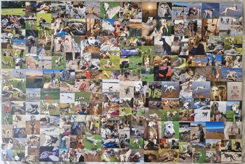 Foto del cliente Beverley per la recensione Stampa Fotocollage Tela 36x24"