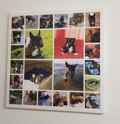 Foto del cliente Bianca per la recensione Stampa Fotocollage Tela 50x50cm