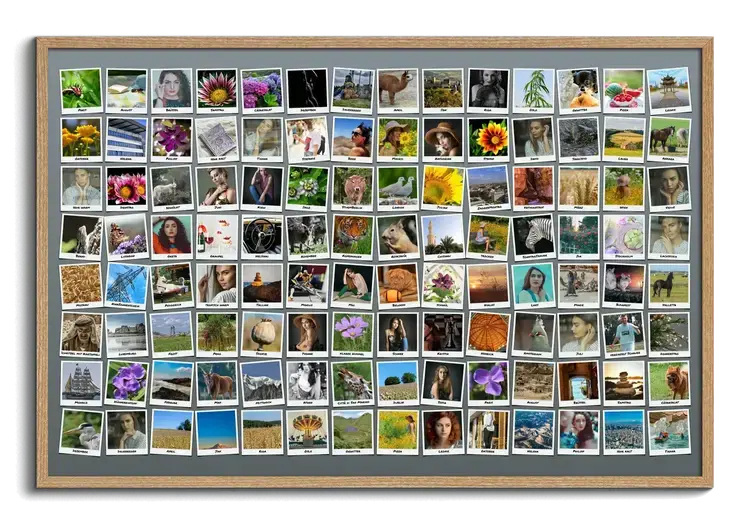 Fotocollage crea cento 100 foto con Polaroid