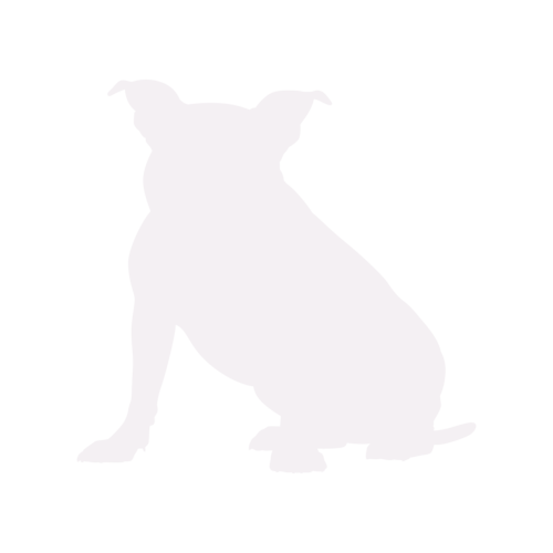 Silhouette di cane American Bully seduto