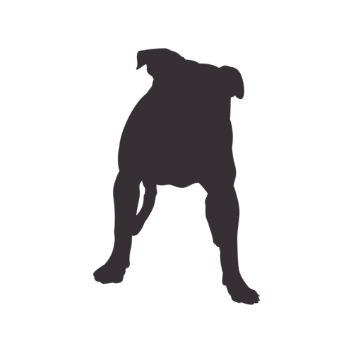 Silhouette di cane American Bully in piedi