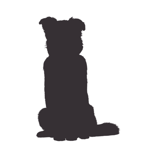 Silhouette di cane Australian Shepherd seduto