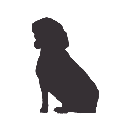 Silhouette di cane Beagle seduto