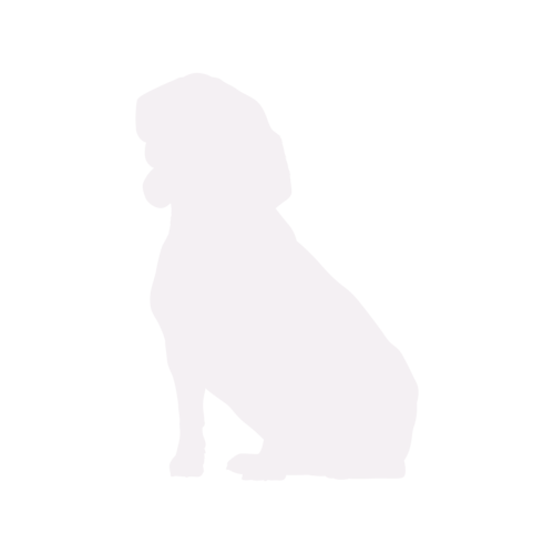 Silhouette di cane Beagle seduto