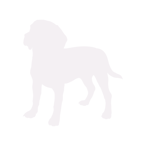 Silhouette di cane Beagle in piedi