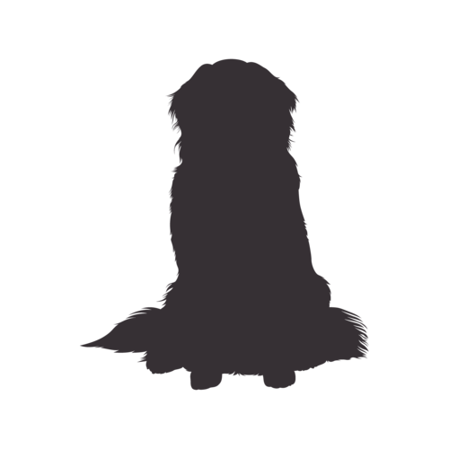 Silhouette di cane Bovaro del Bernese seduto
