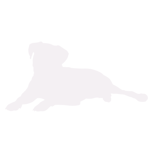 Silhouette di cane Boxer seduto