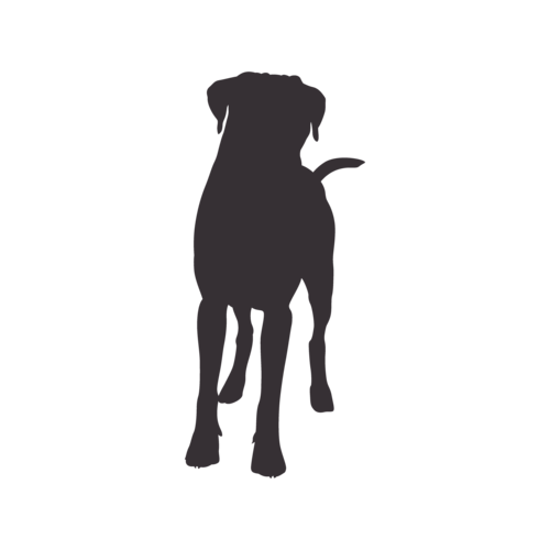 Silhouette di cane Boxer in piedi