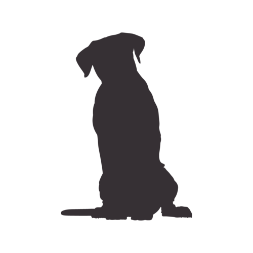 Silhouette di cane Cane Corso seduto