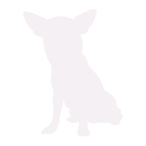 Silhouette di cane Chihuahua seduto