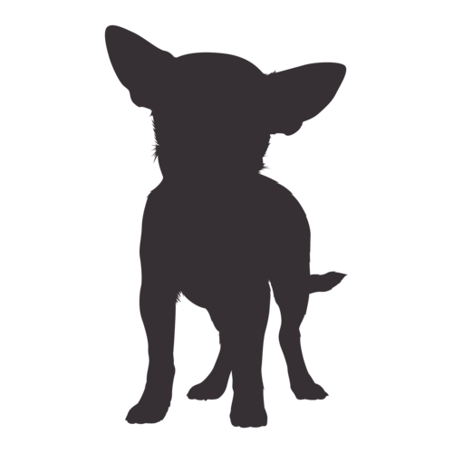 Silhouette di cane Chihuahua in piedi