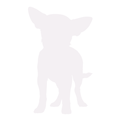 Silhouette di cane Chihuahua in piedi