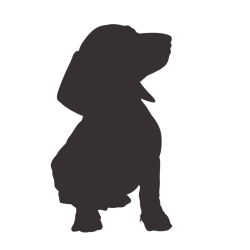 Silhouette di cane Bassotto seduto