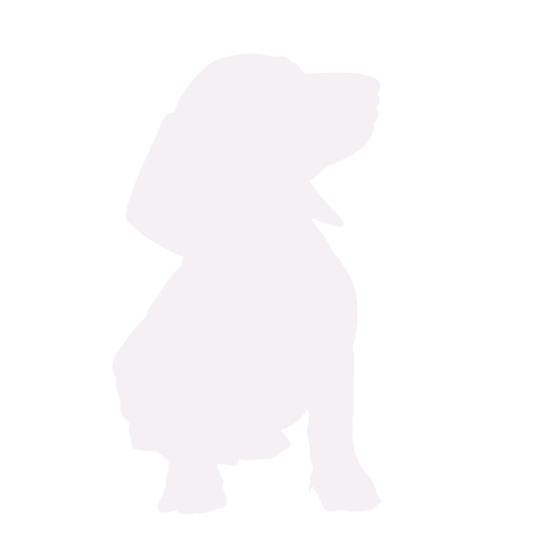 Silhouette di cane Bassotto seduto