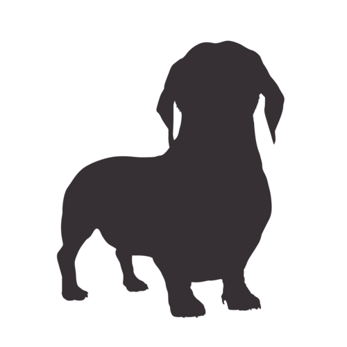 Silhouette di cane Bassotto in piedi