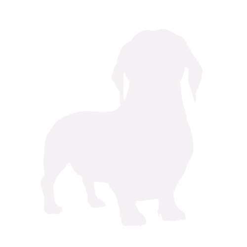 Silhouette di cane Bassotto in piedi